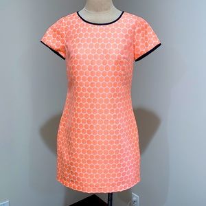 Sail to Sable orange circle dress, Size 6